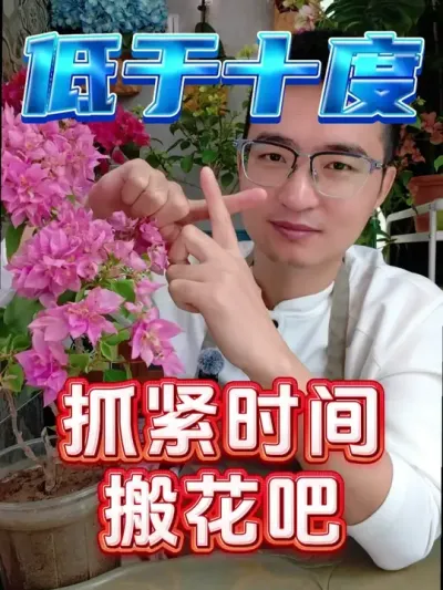 “ʮ”ץʱỨɣ #  #ֲ  #ʲôʱѻ