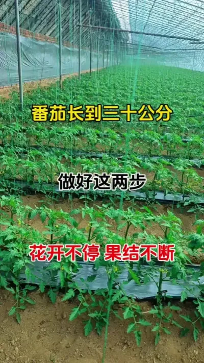 ڹ#ٻ #ٻ #ٻѿֽ #ٻ