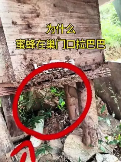 Ϊʲô۷ڳſ #շ##־#۷ֳ #ҵ#ũ #