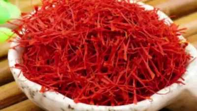 ҩݪֲ 컨ĳ߲ݪֲ#ֲС֪ʶ #Ϥһݪֲ #ϻȥ # #ũҵũ