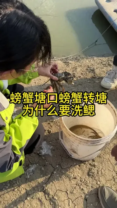 ззתΪʲôҪϴ #ֳģʽ #ũ #ˮֳ #ũ2025