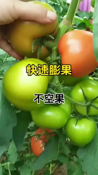 չϹ߲ͨ޼# # #