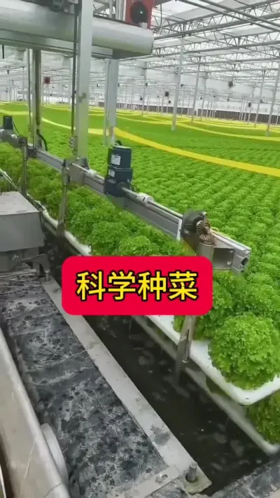 #Ƽũҵ#ݪֲ#ˮ#ǻũҵѧֲ