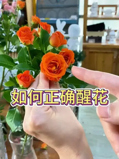 ׼ȷѻ#ѻ #ֲ # #С֪ʶ #