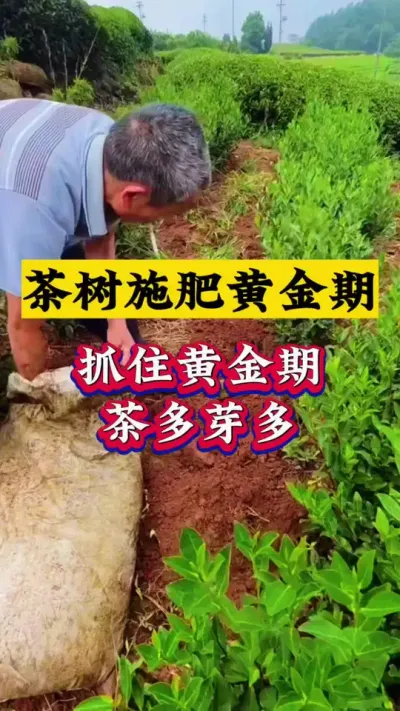 ԰ʩʱ#԰ #԰ʩ #ݪֲ #ũ