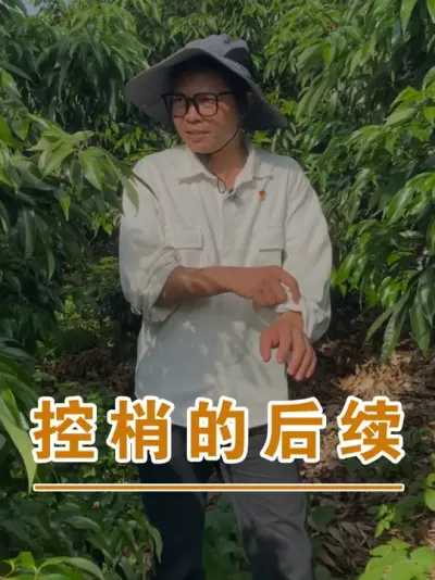 ֦ҺҪʲô#ɽ֦#ũҵҵ#ũ2025#ֹ#֦ݪֲ@