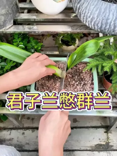 Ⱥ# #ֳ #ֲ # #С֪ʶ