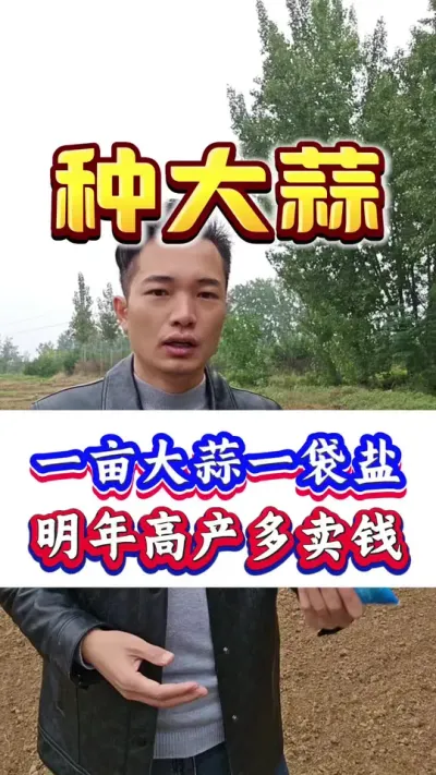 һĶһ߲Ǯ#ݪֲ#Ƥ#߲#ִ#