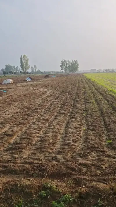 СһȫҪ#ũ#ũ#ݪֲС#ũ#DOU