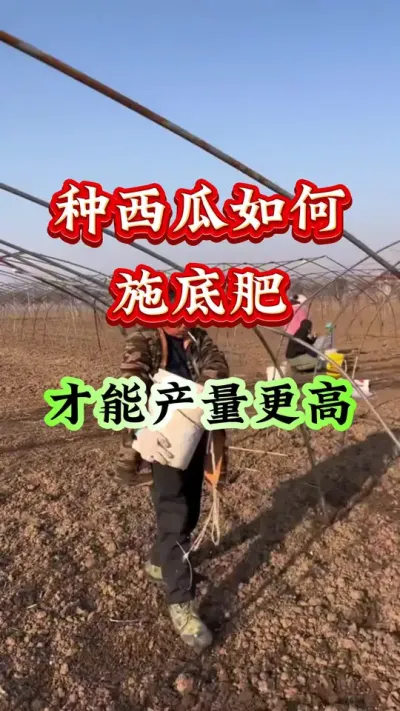 ݪֲ ʩ׷ʲŻ #ݪֲ #Ϲ #ϸ߲ #ϵ׷