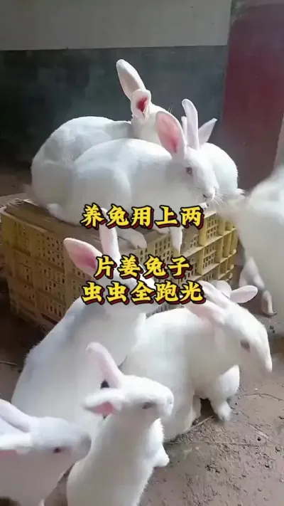 Ƭжܹ # # #ɢ԰ش