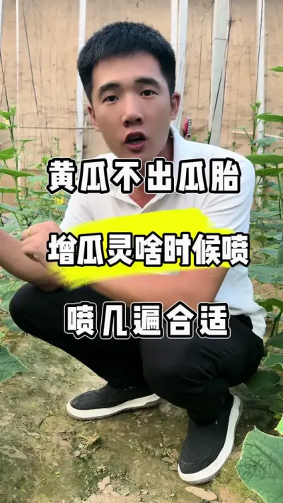 ƹʩʱܽڽйϣ #ũ #ƹݪֲ #ũ