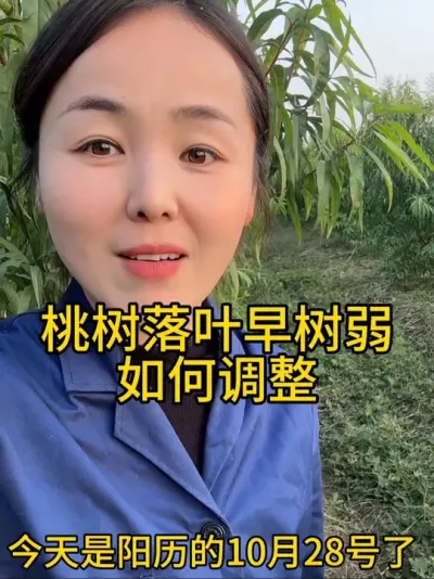 Ҷ #԰ #ũҵ֪ʶũ #ũҵ֪ʶ