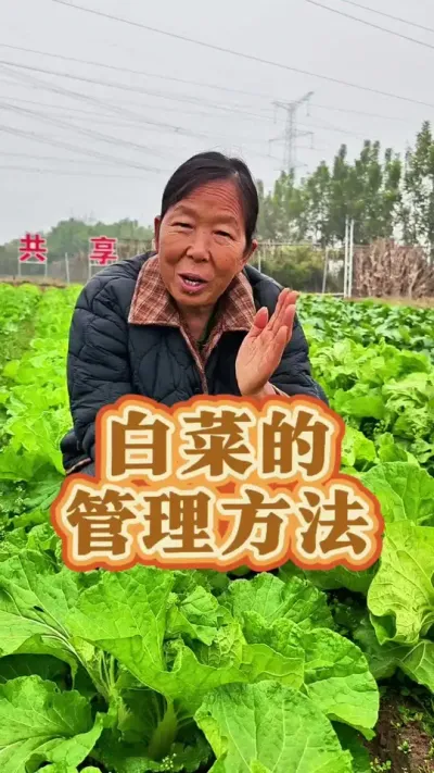 ڵİײǻûаӦôʩ# #߲ݪֲ #ݪֲС #ײݪֲ@DOU+С @DOU+