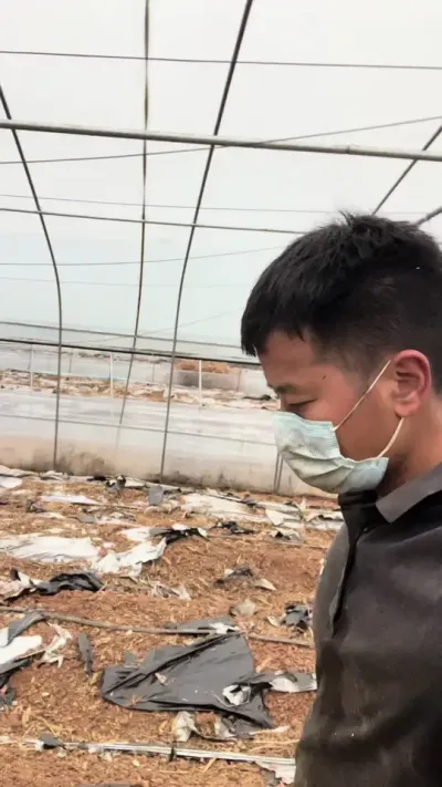 Щ˵ҶҲ֪ũǷøɰ??#紴ҵ #ũҵݪֲ #¼