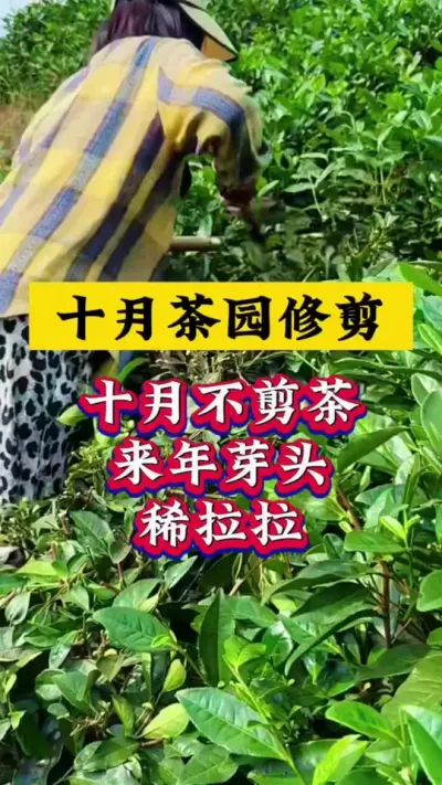 ʮ޼ĵ޼һ#޼ #԰ #ũ #ѿ