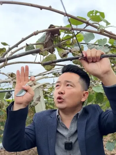 ⨺Ҳʵʱ޼澿Щ #ũ #⨺ݪֲ #ݪֲ #ũҵƹ