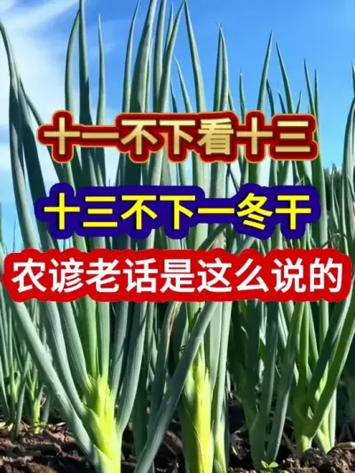 ʮһ¿ʮʮһũϻô˵ #ũҵ #ũ #ũϻ #ũ #ũҵݪֲ