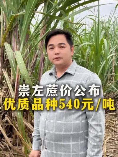 Ʒ540Ԫ#ָ ##ݪֲС #ũҵ֪ʶũ #ղӲԭ