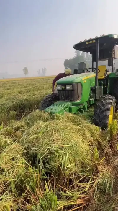 һ #ֻ #һ #ոѻ #ֻ #ũƵ @С