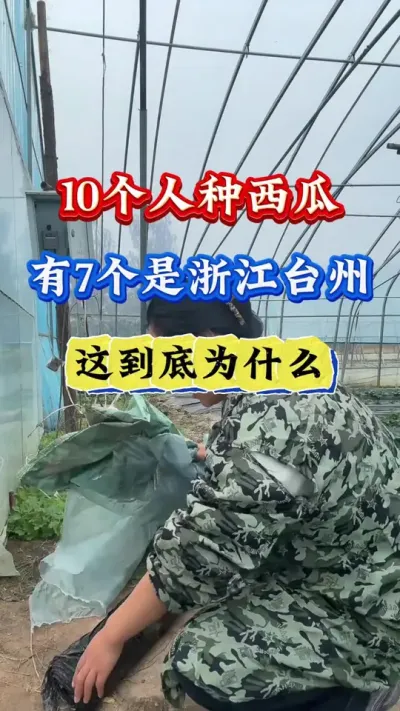 ݪֲ 10С˽߸㽭̨⾿Ϊʲô #ݪֲ #Ϲ #ϸ߲