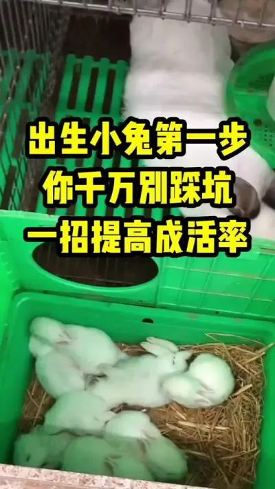 Сõһȿһ߳ɻ ##ֳ#