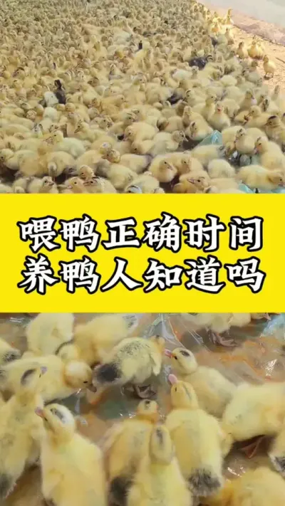 ιѼ׼ȷʱѼ֪#ѧѼ #Ѽ #Ѽרҵ #Ѽշ #ѼС