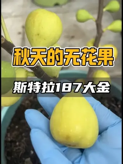 ժ޻ ժ˹187ʹڸеһ187ڶ˹Ǵ̫վλѡֿѹһЩʱĴĺܶ