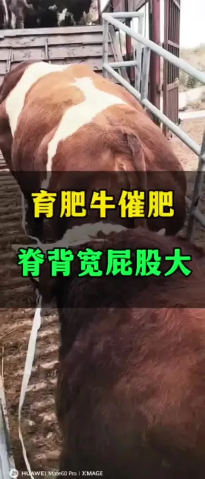 ţӴƨɴ#ţֳ#ţ#ţ