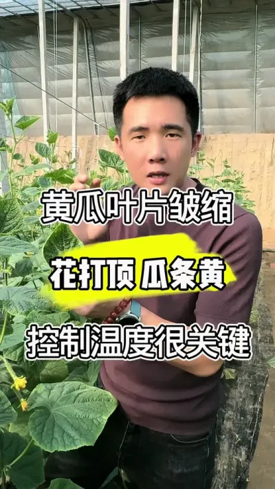 ƹҶƬҶ #ũҵݪֲ #ũ #ũ #лݪֲ