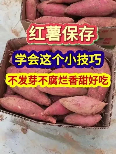 ѧСɲѿó #Ҫ #ũҵݪֲ # #ũ #ũҵ֪ʶũ