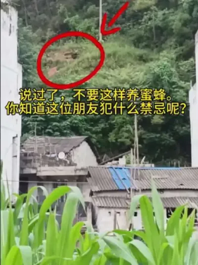 ۷ǲɵ˿λ٭ #۷շ###һƽ#ũ