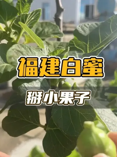 ?ʲôʱ޻ʺ?? ޻ĳƫʵĲʺס˹ѿͲ׷ҲʵȥԵѡһеС׷֦˵