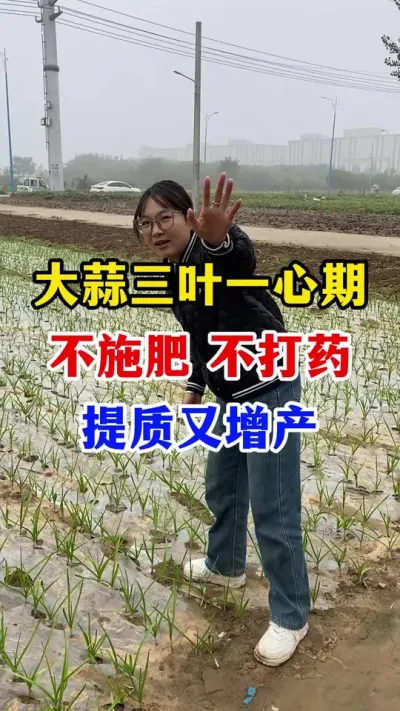 #ݪֲ##߲#ũҵݪֲ#ũҵ֪ʶũ