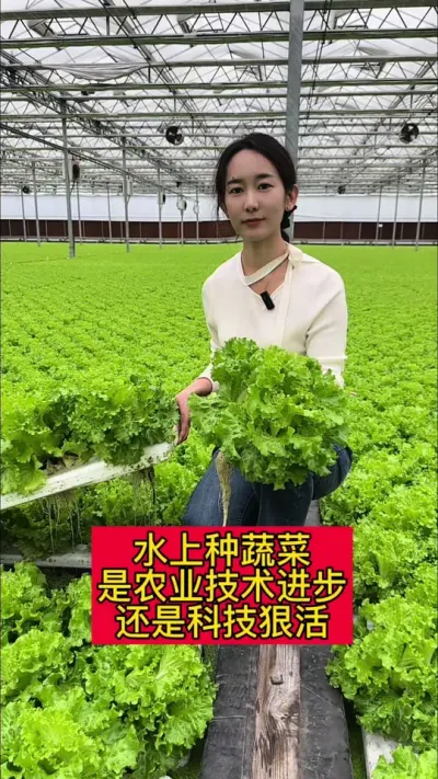 #ݪֲ#ˮ#ִũҵ#߲ݪֲˮֲũҵƼǰվɿƼݻ