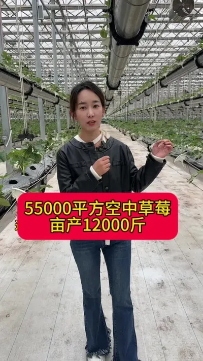 #ݮݪֲ #вݮ#ݪֲ#Ч #ݮݪֲ Ķ12000Ŀвݮ