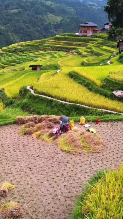 һһȵռͯĻмҵζ# #侰 # #ݼӰ