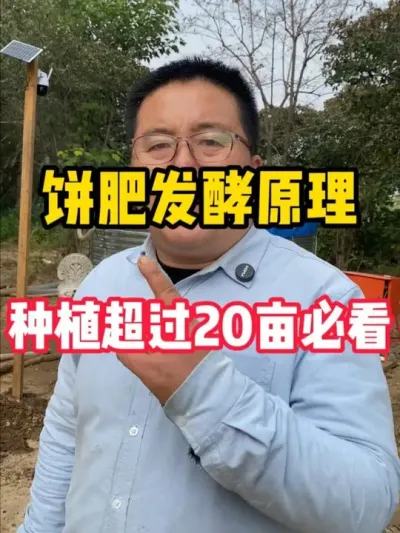 饼肥发酵原理，种植超过五十亩必看 #发酵水肥 #水肥发酵 #堆肥发酵  #农业种植技术 #种植技术