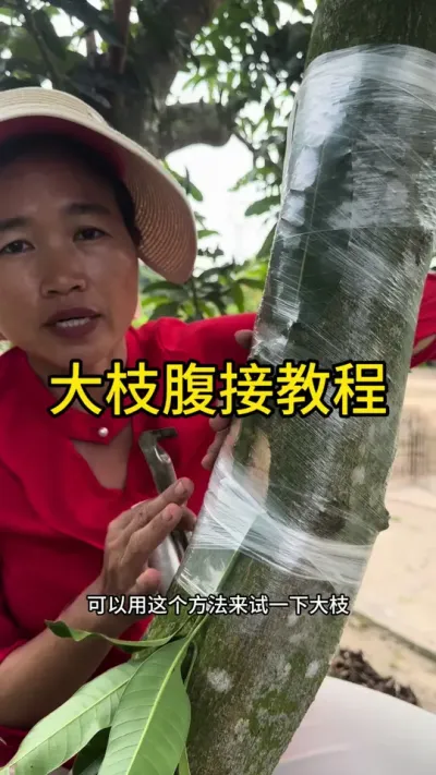 â֦ӽ̳#ѧũ#ũ2025 #dou #dou㶫