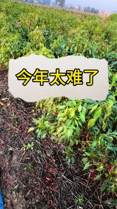 ũֵؽֹ#ũũ #콷 #ѿջ #ũ #ũҵ