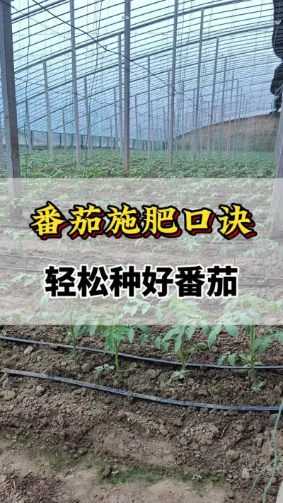 ʩʿھֺ÷#ũҵݪֲ #ʩ #ݪֲ