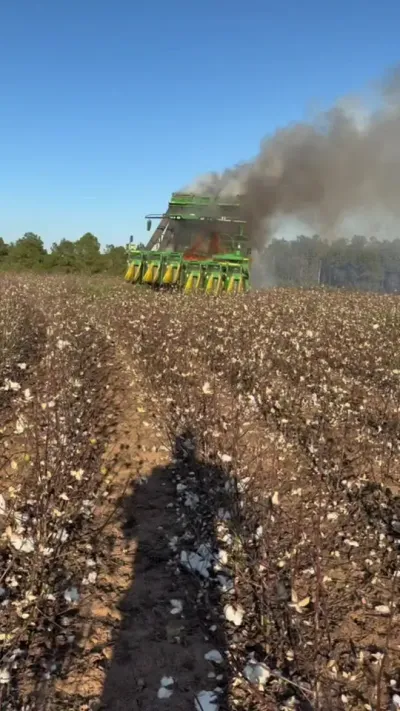 采棉机驾驶安全 #采棉机 #采棉机司机的日常生活 #采棉机驾驶员 #农机安全要重视 #农机视频 @抖音小助手