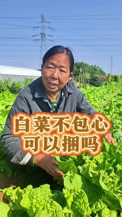 ײ˿ ײ˲Ŀ#ײݪֲ #߲˹ # #ѧֲ #ũݪֲ