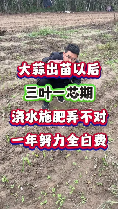 ԺҶһˮʩŪһȫ״ #ݪֲ #߲ #ݪֲ #ʩ  #ũҵݪֲ