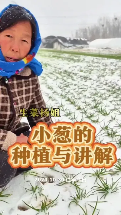 Сеݪֲϰ Сݪֲ#߲ݪֲ #߲ݪֲ #