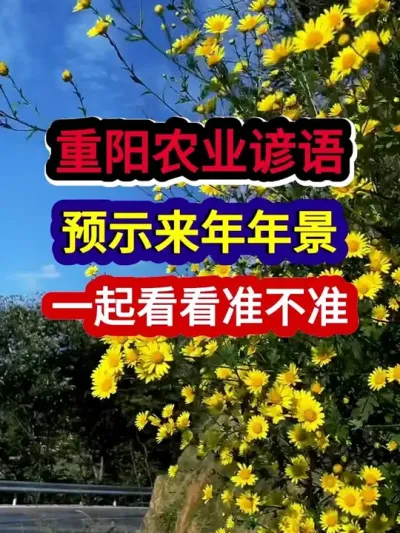 ũҵԤʾ꾰һ𿴿׼ # #ũҵ #ũ #ũϻ #ũ