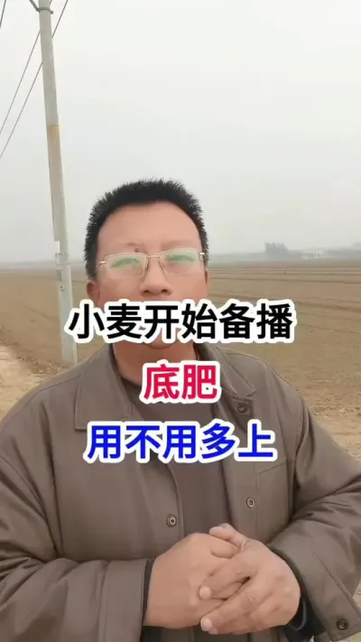小麦开始备播，底肥，到底用不用多上 小麦开始备播，底肥，到底用不用多上#小麦种植 #小麦种植管理技术 #马哥聊农业 #小麦高产技术 #小麦高产
