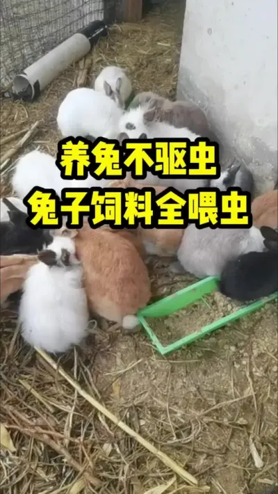 òȫι ##ֳ#ũ#