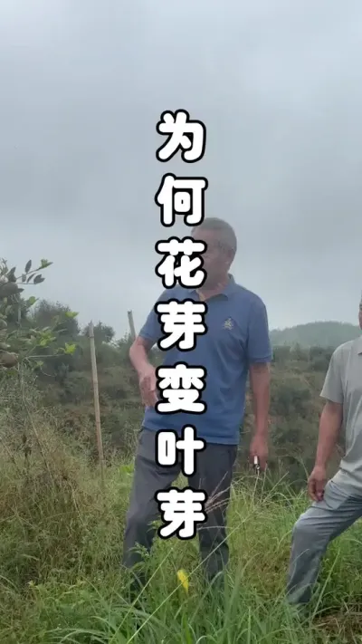 ͨԵԭԶ׼ٽӦ # #ѧũ #ͷʵٸɻ #ս #ũ