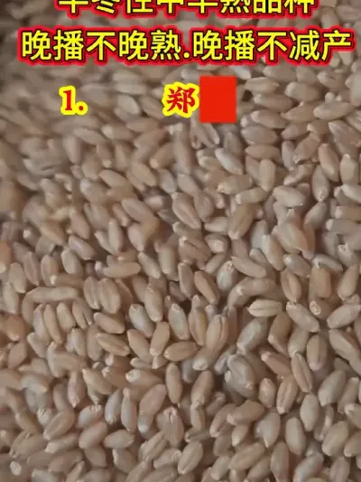 붬СƷָƼһ#ũ#ũ#ũ#ũ#DOU